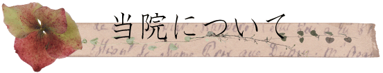 当院について